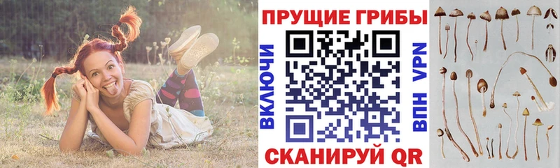 Галлюциногенные грибы ЛСД  Пересвет 